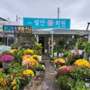 발안화원