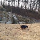 박순호의 아이슬란드 이미지