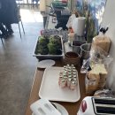 주식회사 케이