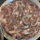 돗배갈매기