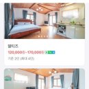 보헤미안애견펜션