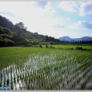 포지션 당구장 이미지