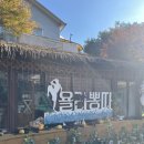포천아이랑 갈만한곳 욜라뽕다글램핑펜션 내돈내산후기