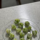 백제골2 이미지