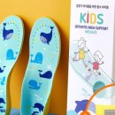 바른자세자연치유연구소