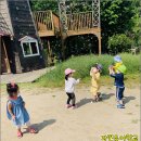 자연아이유치원 이미지