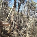 곡성-125 이미지