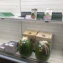 여름 그 잡채였던 도심속의 힐링 공간 Hyuni&#39;s homestay :: 울산기타학원 코스틱코드