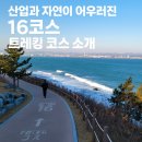 CU포항송도해변점 | 해파랑길 16코스 도전 후기｜포항 연오랑세오녀공원에서 송도해변까지
