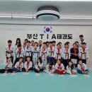 부산TIA태권도 이미지