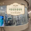 부산동물병원 | 부산 동물병원 추천, 지동범동물병원 중대형견 치주염 발치 수술 후기 (비용 정보)