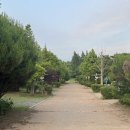 몽산포황토 이미지