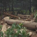 오케이농장 이미지