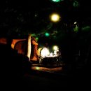 금대자동차야영장(치악산국립공원) 이미지