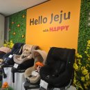 (자)해피관광렌트카 | [내돈내산] 제주도 해피렌트카 이용후기 카시트 대여 후기