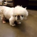정산동물병원 이미지