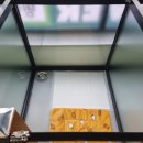 (주)대한상인 | 대구 달서구 애견유치원 추천 애견유치원 멍멍아학교가자 상인점 후기!!