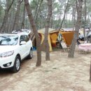 서해안오토 이미지