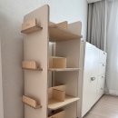 마인포레 이미지