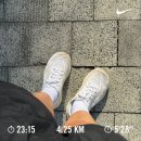 유한회사 한강렌트카 | 러닝과 제균치료와 제주도🌴