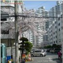 영진반점 이미지