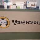 캣파라다이스 이미지