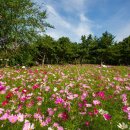 역전농장 이미지