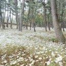 삼문동 문화체육회관 체육관 이미지