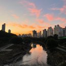 토닥플랜트 | [22.08.13-15] 엄마랑 열정도/연희동/용산역뒷길산책!