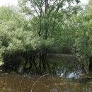 봉선지둘레길 이미지