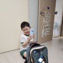 보시반 박시우 이미지