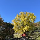 더휴식 스테이 | 통도사 템플스테이 휴식형 후기