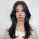 송하디자인