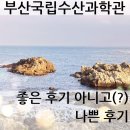 국립부산과학관 본관 | 부산 국립수산과학관, 안좋은? 후기 (feat, 물고기야 미안해)