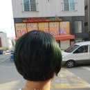 비카샾