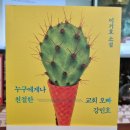 김숙희헤어 - 제주시 | 【독후감】누구에게나 친절한 교회 오빠 강민호_이기호