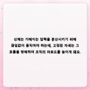 밤마다 찾아오는 뻐근함의 원인을 생활 패턴에서 찾기