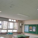 신어초등학교 네이버블로그
