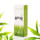 비비드보리