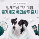 글로벌샹