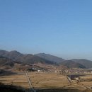북경 | 금강송 (金剛松) 춘양목(春陽木)의고장 춘양