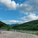 부산국제승마장 이미지