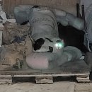 매일건재사