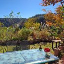 영월산방 | 영월뷰좋은펜션 [수월산방펜션]에서 보낸 힐링 가득 가족여행 후기