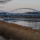 벌교태권도장 이미지