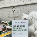 손길 미장원 이미지