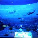 진해박물관 이미지