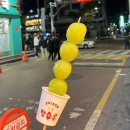 성남 모란 깔끔한 참치 전문점 &lt;삿포로 참치&gt; 실버 코스 후기!