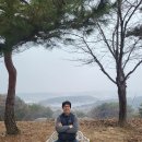 법무사김일동