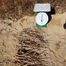 야생화정원펜션민박 이미지